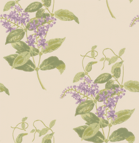 Tapeta 100/12056 Archive Anthology Cole&Son