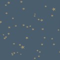 103/3017 Tapeta Cole&Son Whimsical