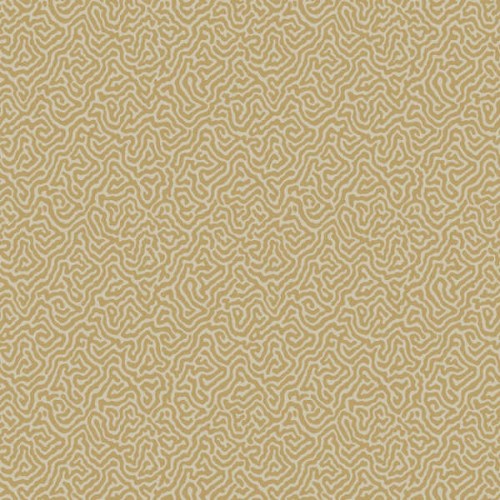 107/4021 tapeta Cole&Son Curio