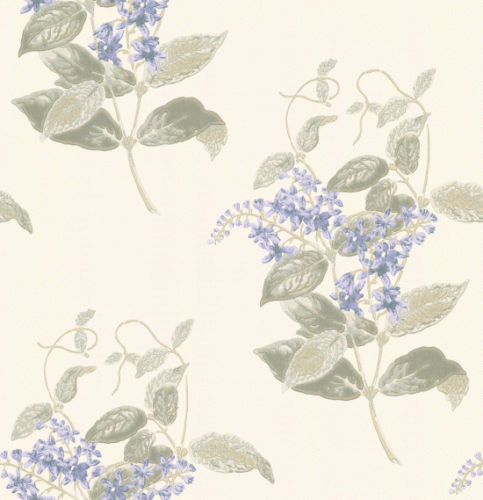 Tapeta 100/12057 Archive Anthology Cole&Son