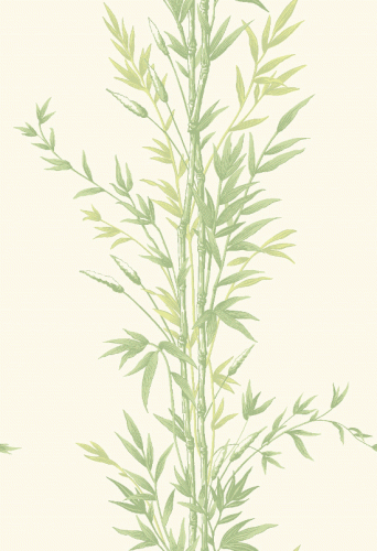 Tapeta 100/5023 Archive Anthology Cole&Son