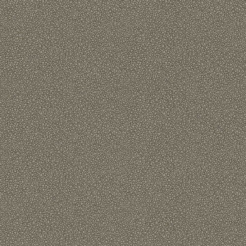  107/9043 tapeta Cole&Son Curio