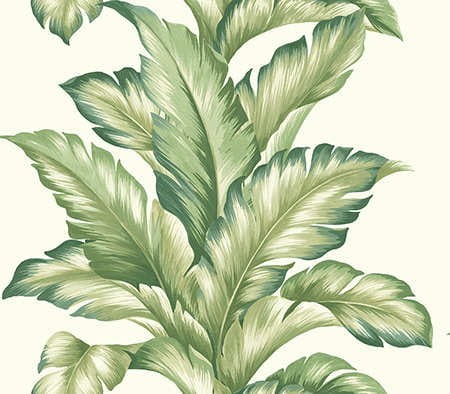 81204 tapeta Wallquest Maui Maui