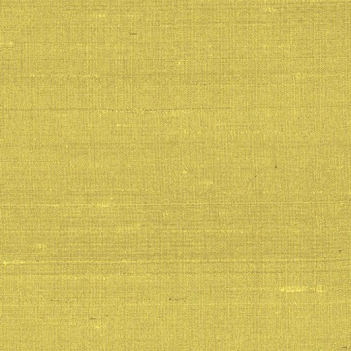 50507 tapeta Arte Paleo