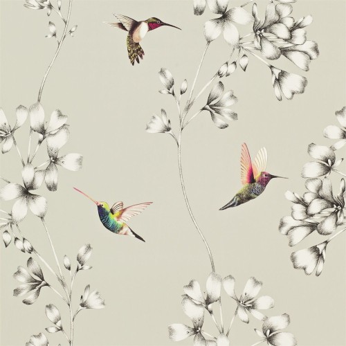 111062 tapeta Harlequin Amazilia