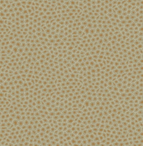 109/6029 tapeta Cole&Son Ardmore