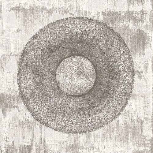 CR62000 mural Carl Robinson 14 Milan