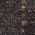 VP615-01 panel Elitis Indomptee