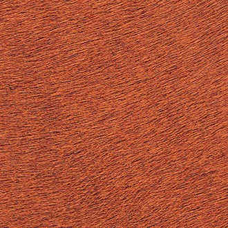 VP625-42 tapeta Elitis Indomptee