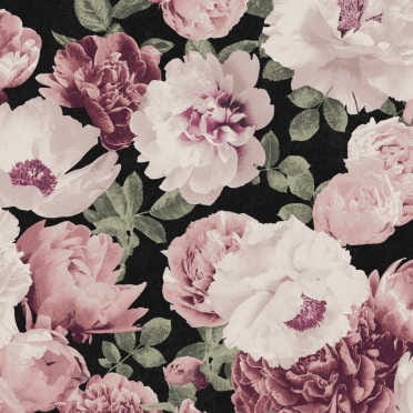 KEN001 tapeta Khroma Kent