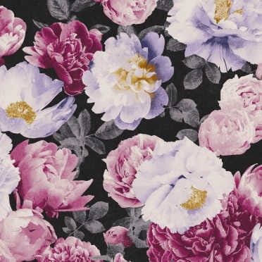 KEN002 tapeta Khroma Kent