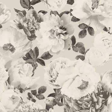 KEN005 tapeta Khroma Kent