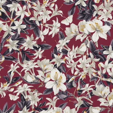 KEN201 tapeta Khroma Kent