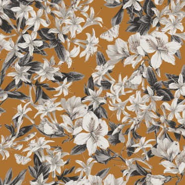 KEN203 tapeta Khroma Kent