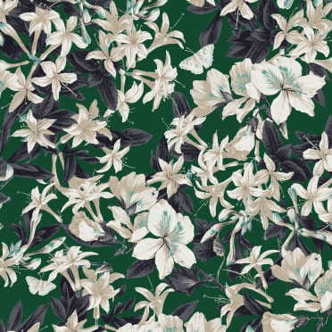 KEN207 tapeta Khroma Kent