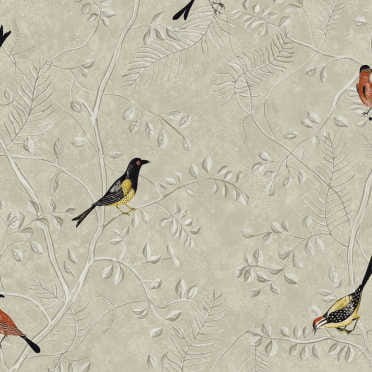 KEN505 tapeta Khroma Kent