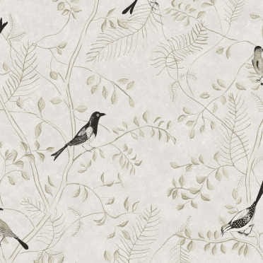 KEN506 tapeta Khroma Kent