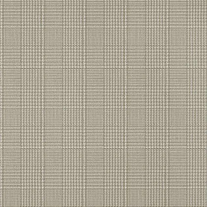 T10205 tapeta Thibaut Colony