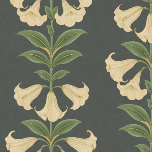 117/3006 tapeta Cole&amp;Son Seville