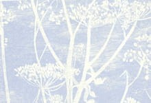 Cole & Son Cow Parsley