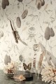 tapeta Khroma Cabinet Of Curiosities