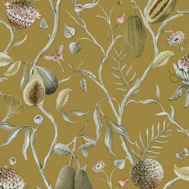 CAB603 tapeta Khroma Cabinet Of Curiositie