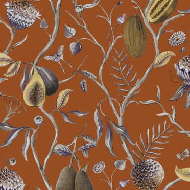 CAB604 tapeta Khroma Cabinet Of Curiosities