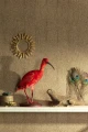 tapeta Khroma Cabinet Of Curiosities