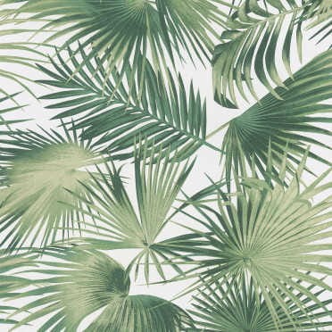 WIL104 tapeta Khroma Wild