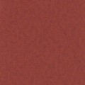 WIL302 tapeta Khroma Wild