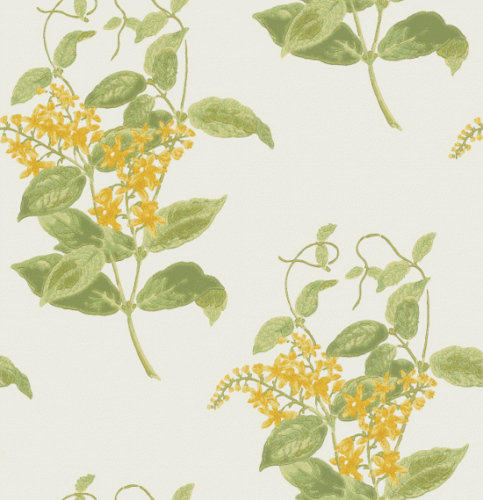 Tapeta 100/12059 Archive Anthology Cole&Son