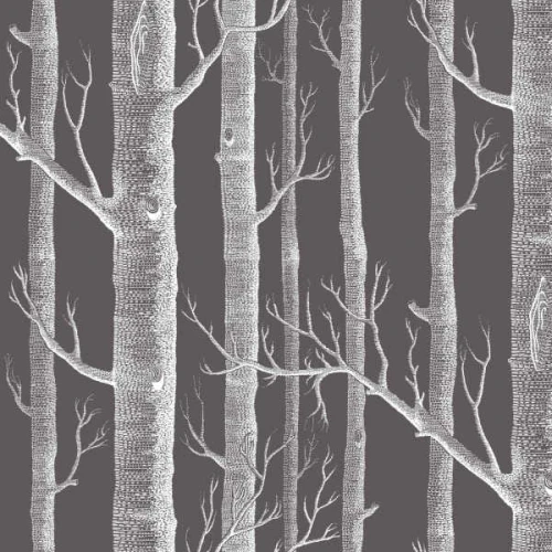 F111/7027LU tkanina Cole&amp;Son The Contemporary Collection