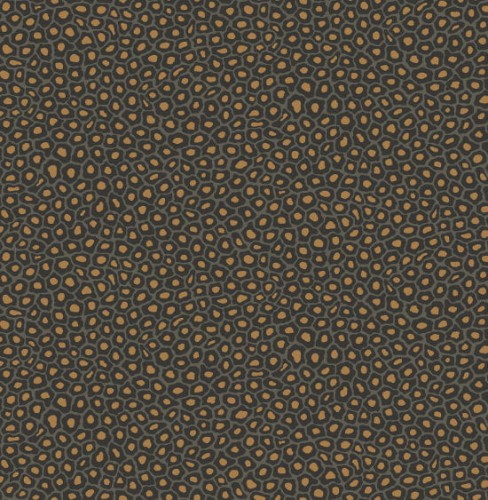  109/6032 tapeta Cole&Son Ardmore