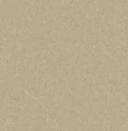 tapeta KT10124 KT EXCLUSIVE SAUVAGE