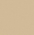 tapeta KT10153 KT EXCLUSIVE SAUVAGE