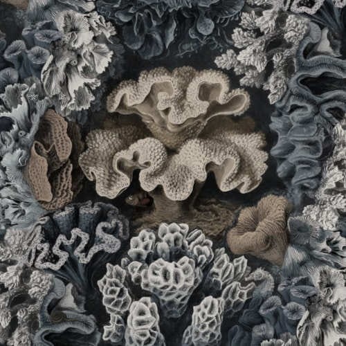 tapeta Rebel Walls Oddity R17483