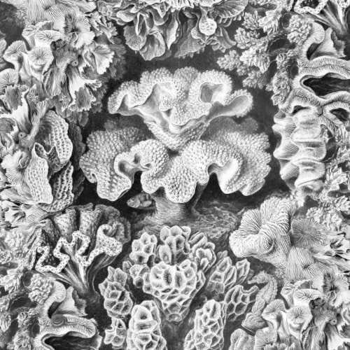 tapeta Rebel Walls Oddity R17481