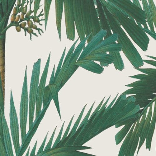 tapeta Rebel Walls Oddity R17572