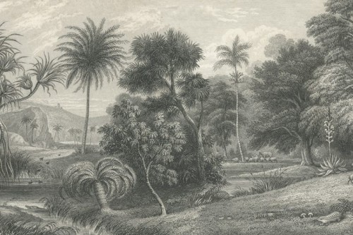 fototapeta las R14611 Rebel Walls Best Of