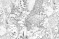 fototapeta mapa skarbów R13863 Rebel Walls Best Of