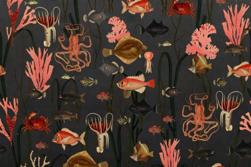 fototapeta w ryby R17143 Rebel Walls Well-Being Aquatic Life Shadows