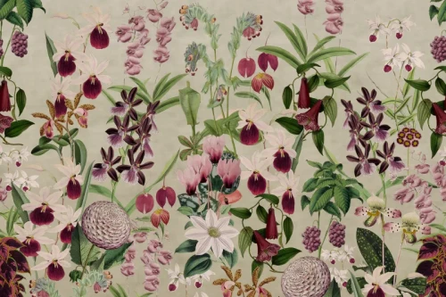 fototapeta w kwiaty R17161 Rebel Walls Well-Being Alices Garden