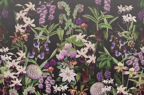 fototapeta w kwiaty R17163 Rebel Walls Well-Being Alices Garden Midnight