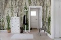 fototapeta R17191 Climbing Ivy