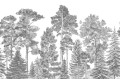 fototapeta las R17201 Rebel Walls Well-Being Scandinavian Bellewood Gray
