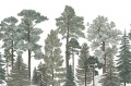 fototapeta las R17202 Rebel Walls Well-Being Scandinavian Bellewood Frost