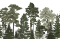 fototapeta las R17204 Rebel Walls Well-Being Scandinavian Bellewood