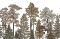 fototapeta las R17205 Rebel Walls Well-Being Scandinavian Bellewood Fall