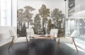 fototapeta las R17205  Scandinavian Bellewood Fall