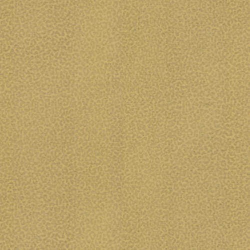 Roberto Cavalli 8 tapeta winylowa RC19017